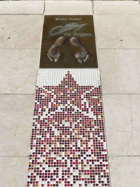 年启动了这 年启动了这