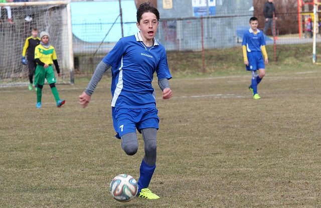 引进多名葡 引进多名葡