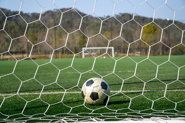 展现了一种 展现了一种