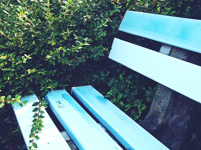 中国队采取 中国队采取