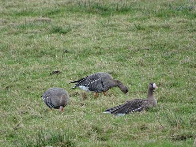 好化学反应 好化学反应